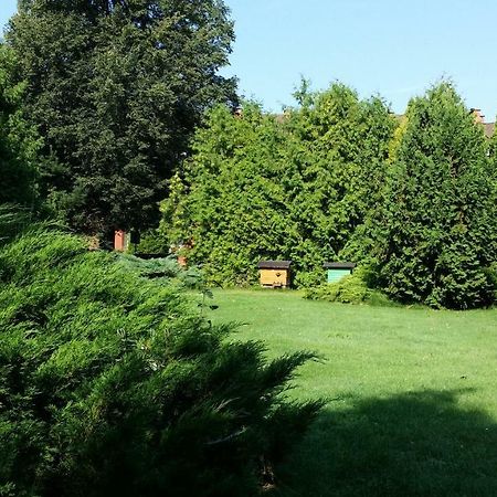 Kwiatowa Zagroda Bialowieza Ngoại thất bức ảnh