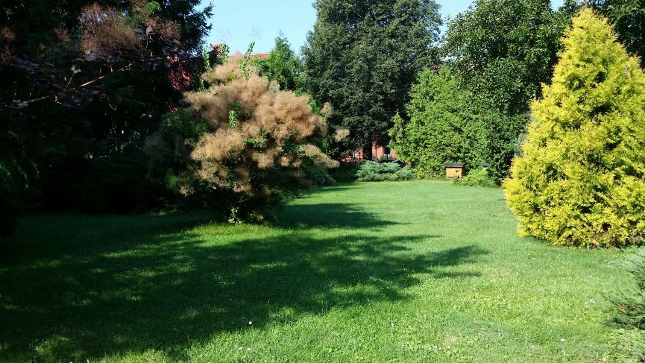 Kwiatowa Zagroda Bialowieza Ngoại thất bức ảnh